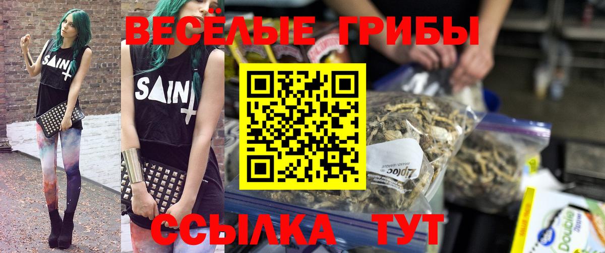 Галлюциногенные грибы Cubensis  магазин продажи   Анжеро-Судженск  Вход с VPN 